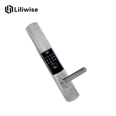 China Fingerprint Automatic Door Lock Semiconductor Sensor High Strength Zinc Alloy for sale