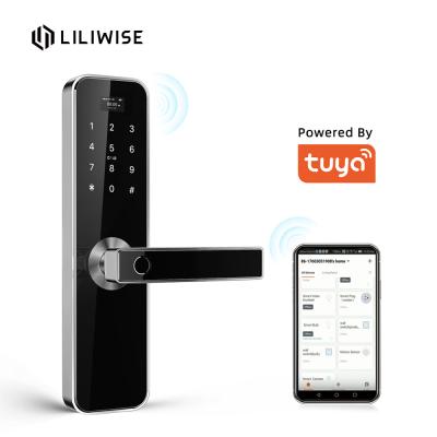 China Airbnb Electronic Door Locks Residence Tuya Smart Fingerprint Passcode Card Wifi Door Lock for sale