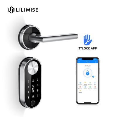 China European Standard Code Door Lock Split Biometric Fingerprint Wireless Modern Home Bluetooth for sale