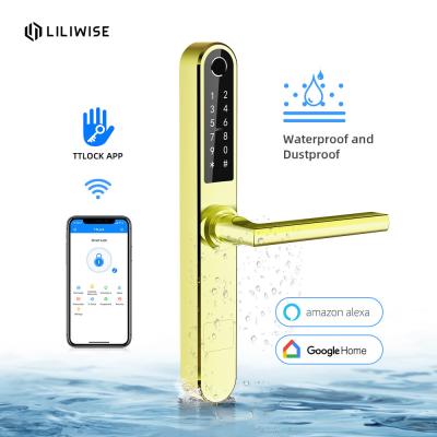 China Stainless Steel Lock Smart Biometric Aluminium Door Locks Low Power Consumotion for sale