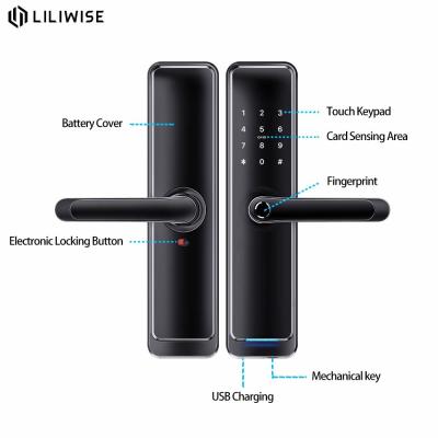 China Zinc Alloy Electronic Deadbolt Lock Wifi Keyless Remote Control Replaceable Cylinder for sale