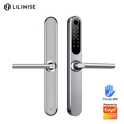 China European American Stand Mortise Fingerprint Door Lock With WiFi APP Slim for sale