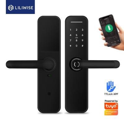 China OEM Remote Control Smart Lock Home Security Fingerprint Biometric Door Lock for sale