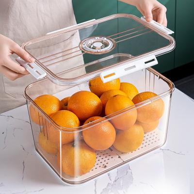 China Freshness Preservation 2022 New Style Plastic Durable Kitchen Fruit Fish Egg Fridge Storage Box Bins Fridge Organizer for sale