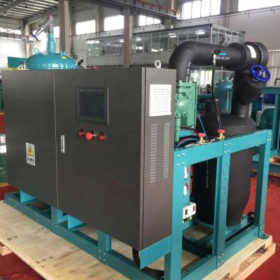 China Tunnel Freezer Screw Compressor 160hp HSN8591-160-40p Screw Condensing Unit For Tunnel Cold Room for sale