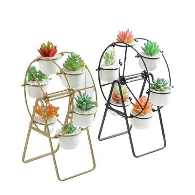 China Pemphis Statistical Plant Modern Simple Simple Ceramic Succulent Pot With Nordic Iron Ferris Wheel Holder for sale