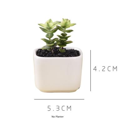 China Modern Pemphis Mini Succulent Ceramic Plant Pot Simple White Creative for Office Decor for sale