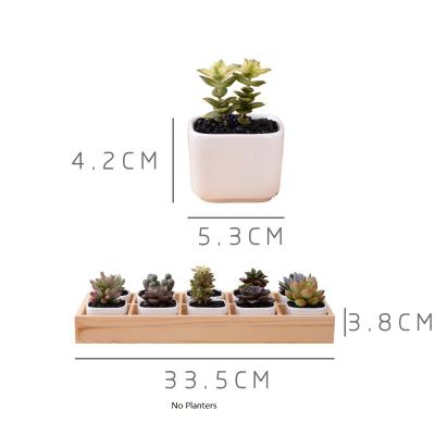 China Modern Pemphis 10 Pieces Set Simple White Creative Ceramic Succulent Plant Pot With Bamboo Tray for sale