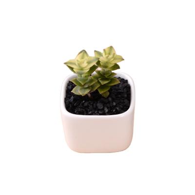 China Modern Manufacture of Pemphis Mini Succulent Ceramic Plant Pot Creative White for Office Decor for sale