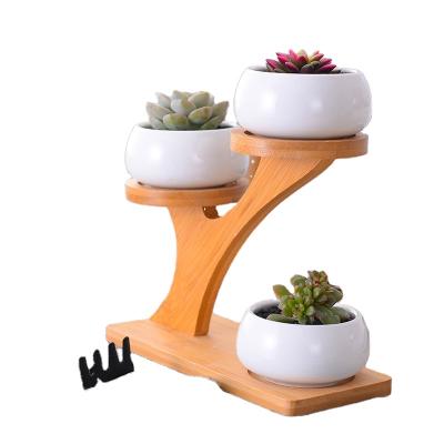 China Pemphis Modern Inventory Plant White Simple Creative Succulent Ceramic Pot Small With Bamboo Frame for sale