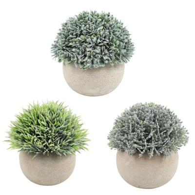 China CLASSIC Potted Simulation Grass Bonsai Simulation Home Decoration Artificial Pemphis Plant for sale