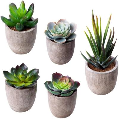 China Home CLASSIC Deco Mini Paper Mache Pulp Artificial High Quality Gray Potted Aloe Succulent Pemphis Plants for sale