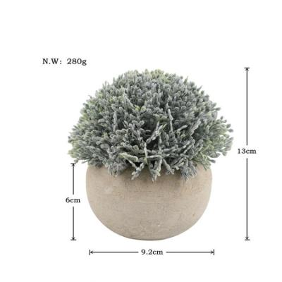 China CLASSIC Cheap Price Indoor Decor Realistic Artificial Pemphis Plants With Vase for sale