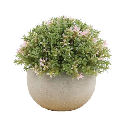 China Wholesale CLASSIC artificial pemphis plant and flower decor for living room for sale for sale