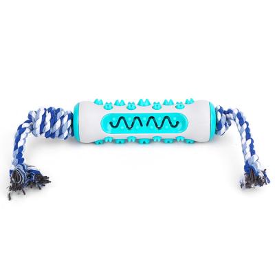 China Dog Dental Care Dog Toothbrush Sustainable Chew Toy Stick Teeth Cleaning Suitable For All Breed Of Dogs for sale