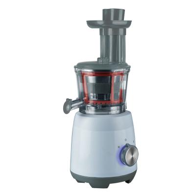 China Commercial White Plastic Body 300W Led 4 In 1 Fruit Vegetable Slow Juicer for sale