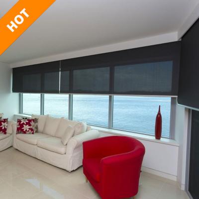 China Minimalist Surface Roller Shades And Blinds With High Quality for sale