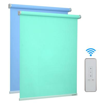 China ROMAN Smart Motorized Roller Blind Automatic Window Rollwe Blinds for sale