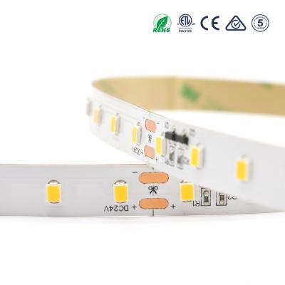 China High Efficiency 160lm/w 2835 Copper Constant Current Led Strip 80leds/m for sale