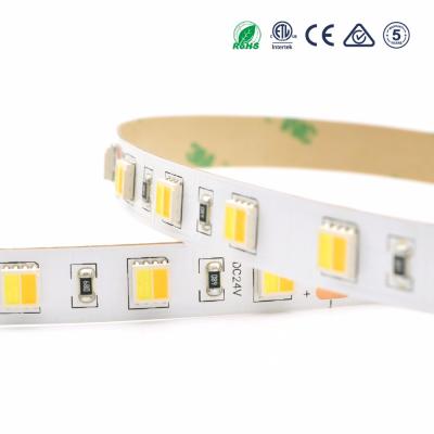 China 2018 New 2in1 Led Strip CCT By 5050 Copper Adjustable Remote Optional Adjustable for sale