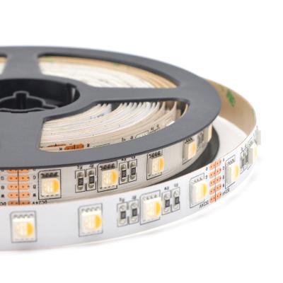 China Top Quality Copper RGBW 4 in 1 Rainbow 24v Led Strip 5050 for sale