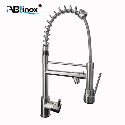 China Sense Faucets SS 304 Commercial Kitchen Faucet Pull Out Main Faucet Flexible Kitchen Faucet Mount Body for sale