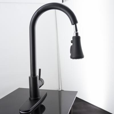 China Lead Free 304 Stainless Steel Kitchen Faucets With Pull Out Spout Flexible Kitchen Faucet Black Kitchen Faucet for sale