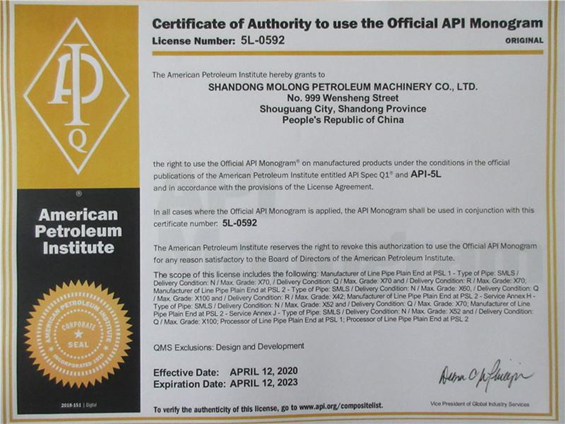 API - Shandong Molong Petroleum Machinery Co., Ltd.