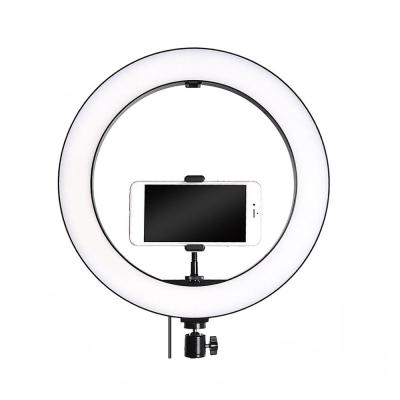 China CPYP Aluminum Alloy+ Plastic 60W Dimmable Dual 14inch Video Flash Light Led Fill Ring Light For Photographic Lighting for sale