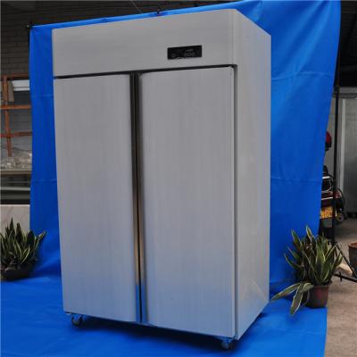 China Single-temperature 2 door freezer /commercial kitchen refrigerator/commercial restaurant frezzer refrigerator for sale