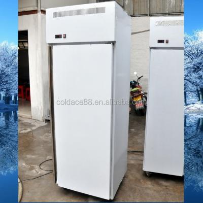 China Single-Temperature Freezers -18~-22 Degree Kitchen Refrigeration One Door With 14 Pans for sale