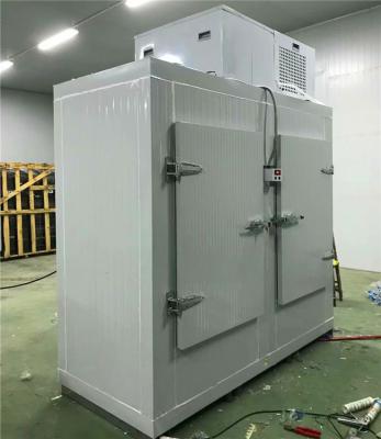 China Single-temperature 300L~2000L SKD Painted Galvanized Steel Ice Storage Bin Freezer Price for sale