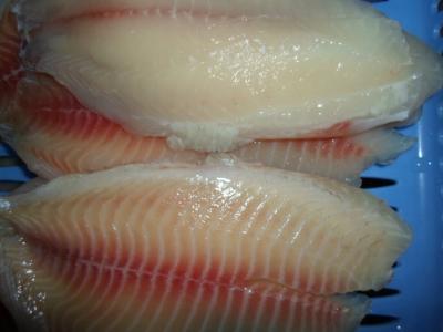 China Pescados congelados sin hueso frescos puros sanos de la Tilapia, prendederos congelados de la Tilapia en venta