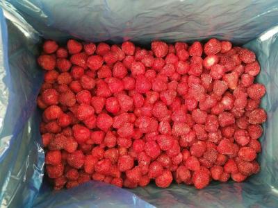 Chine Fraise congelée par volume artificiel de couleurs avec les matrices/tranche entières ne forme pas à vendre