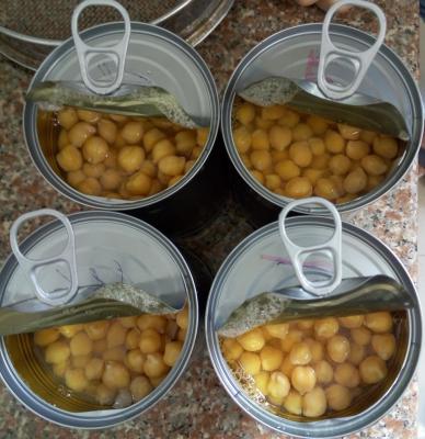 China Mild Taste Chickpeas Canned Garbanzo Beans Extremely Versatile Ingredient for sale