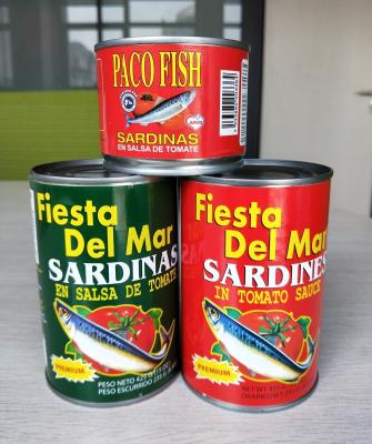 China Canned Sardine Fish in Tomato Sauce Many Type of Packing for sale