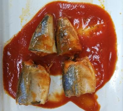 Cina Il pesce inscatolato sgombro molle del gusto/ha inscatolato lo sgombro in salsa al pomodoro nessun'impurità in vendita