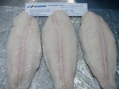 중국 맛있은 대량 베트남에서 냉동 생선에 의하여 Basa Pangasius 어는 등심/물고기 판매용