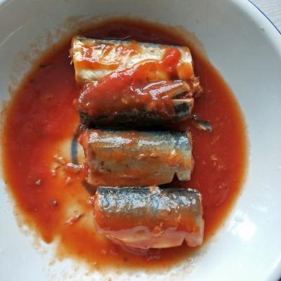 China 425g konservierte pazifische Makrelen-Fische in den PC der Tomatensauce 3-5 zu verkaufen