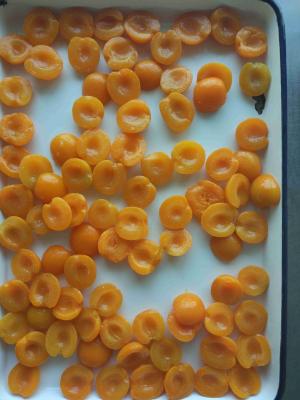 China GMO Cultivation Halves Canning Apricots Preserves In Water for sale