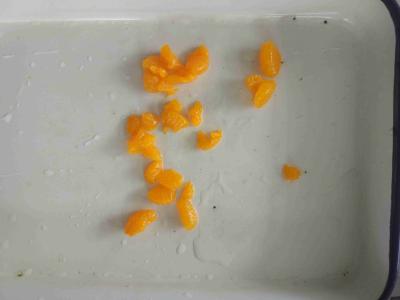 Chine segments en boîte par sirop de mandarine de 14% 15% 16% 17% à vendre