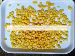 Add a Burst of Flavor and Nutrition with Canned Sweet Corn Perfect for Tacos and Casseroles