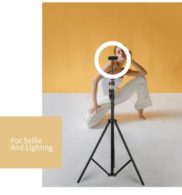 China Adjustable Stand LED Ring Light Live Stream Studio Selfie Ring Light PORTABLE SML Size Mobile Phone Tripod Stand Lamp for sale