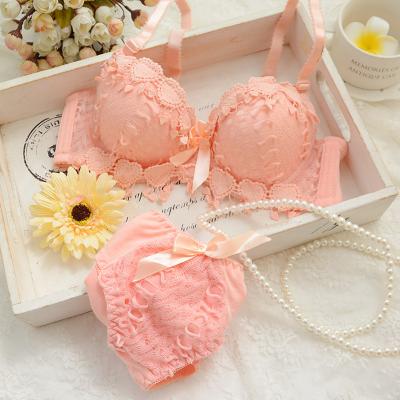 China US2225 QUICK DRY beautiful girls lace up bra panties sets cute women Underwire lift up lace bra set embroidery bra and brief set for sale