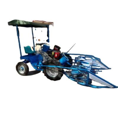 China Maize specializing in the production of sesame, maize, reed, millet harvesting and bundling machine Reed tying machine for sale