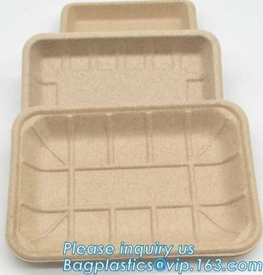 China Dishes Plates Eco Friendly Dinnerware Blister Packaging Resturant Serving Tray for sale