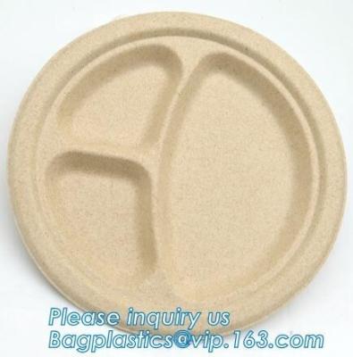 China Food Eco Friendly Dinnerware Fruit Snack Biodegradable Corn Starch PLA Foamed for sale