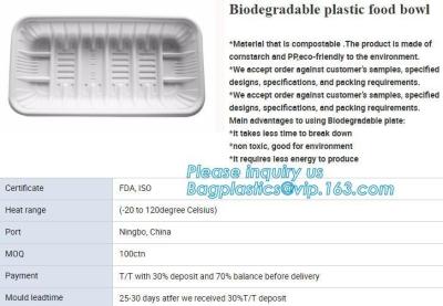 China Blister Packaging Tray Rectangular Plastic Food Tray Corn Starch PLA Cement Tray for sale