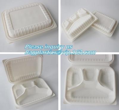 China blister packaging Packaging Tray, airline fast food trays with handle, cornstarch food trays for sale