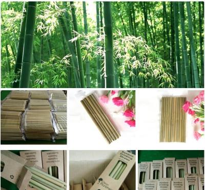 China Palhas bebendo de bambu naturais Mão-Crafted reusáveis orgânicas de Eco, palhas bebendo de bambu naturais com logotipo personalizado pac à venda